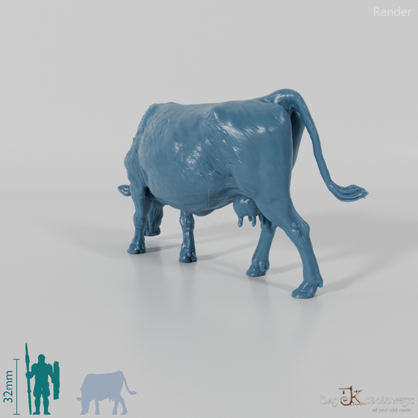 Rind - North Devon Kuh 01