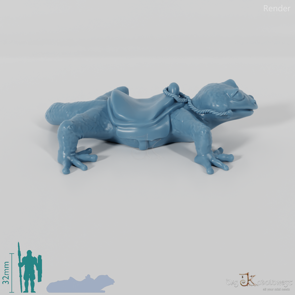 Lizard - riding gecko