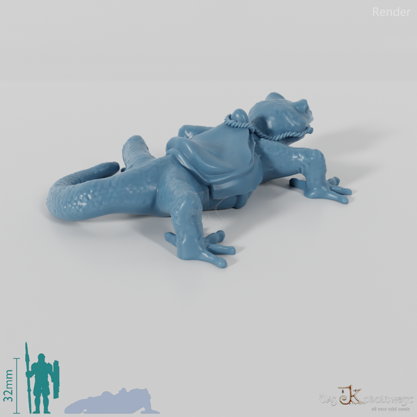 Lizard - riding gecko