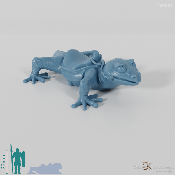 Lizard - riding gecko