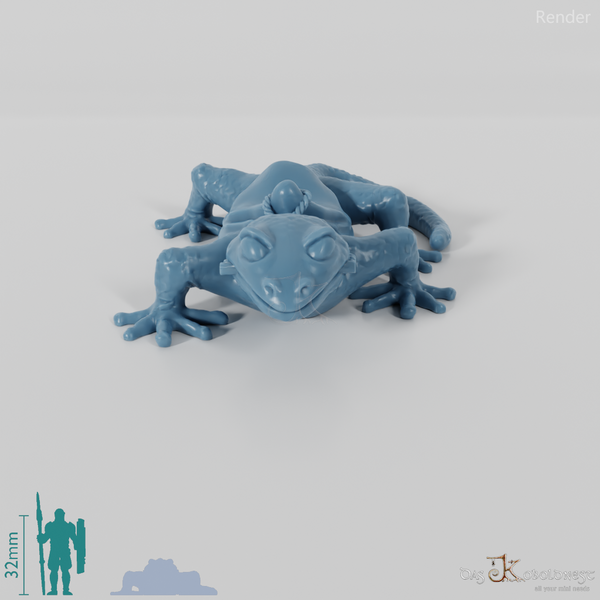 Lizard - riding gecko
