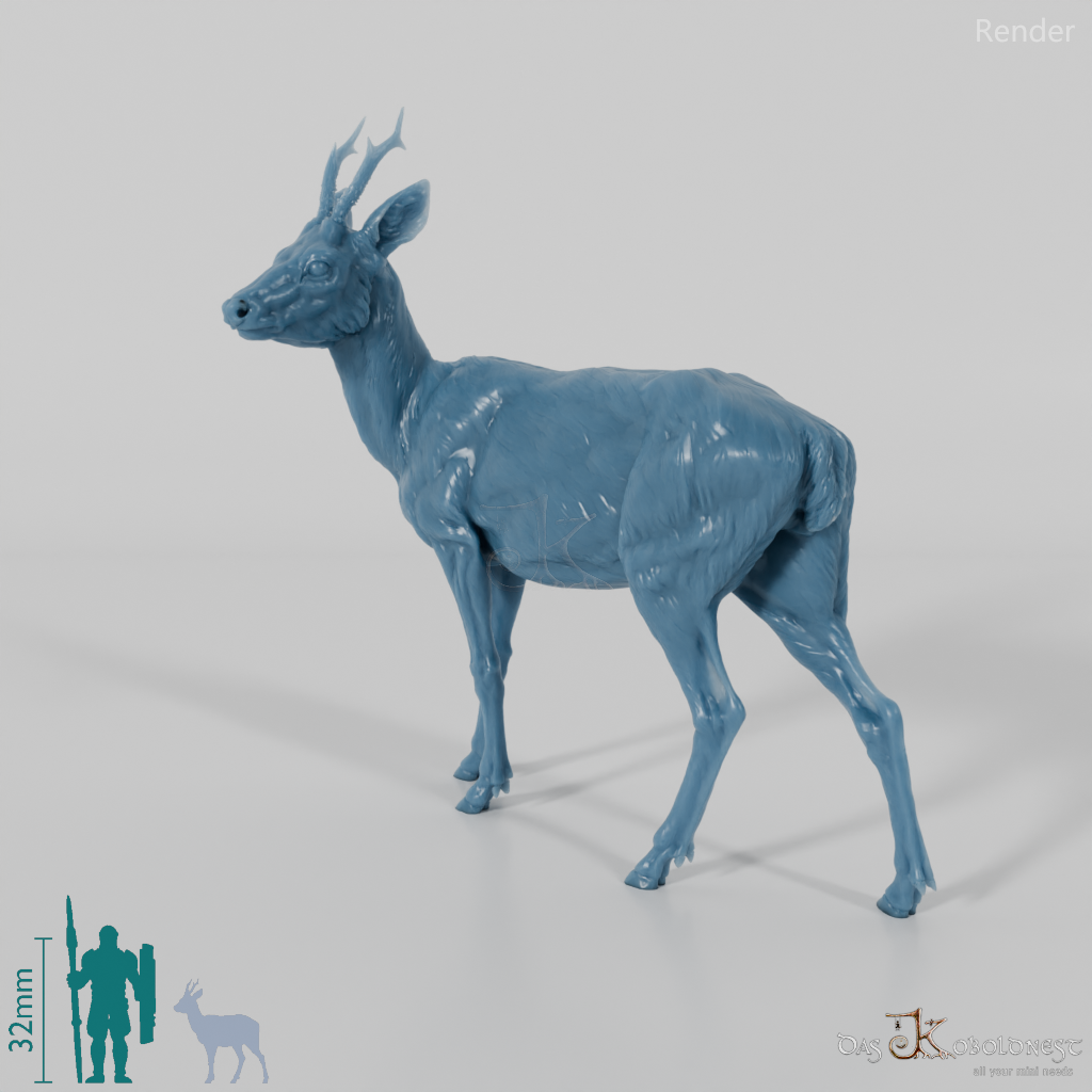 Deer - European Roe Deer - Buck 01