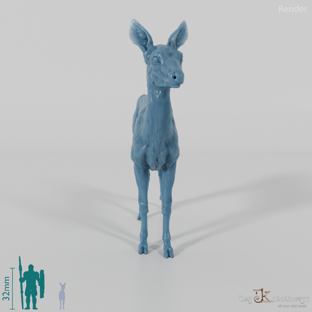 Deer - European Roe Deer - Ricke 01