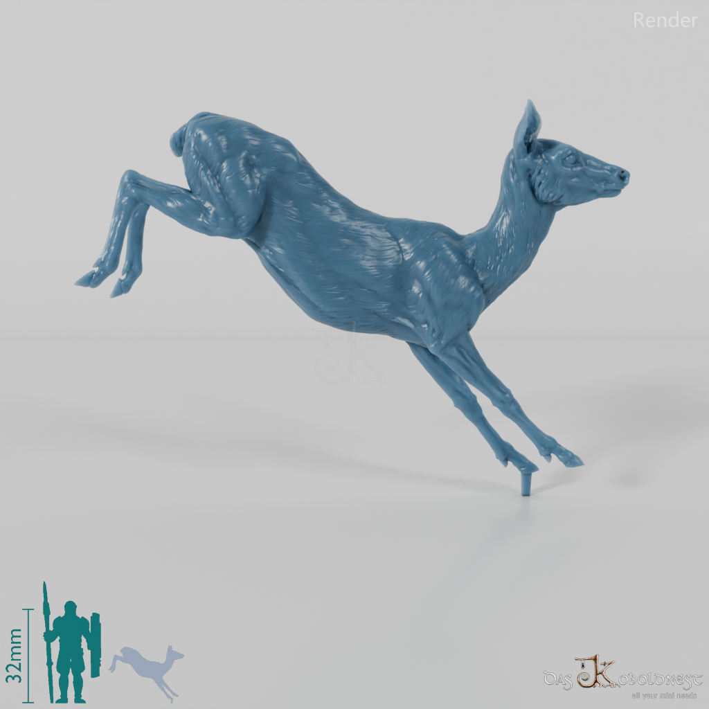 Deer - European Roe Deer - Ricke 02