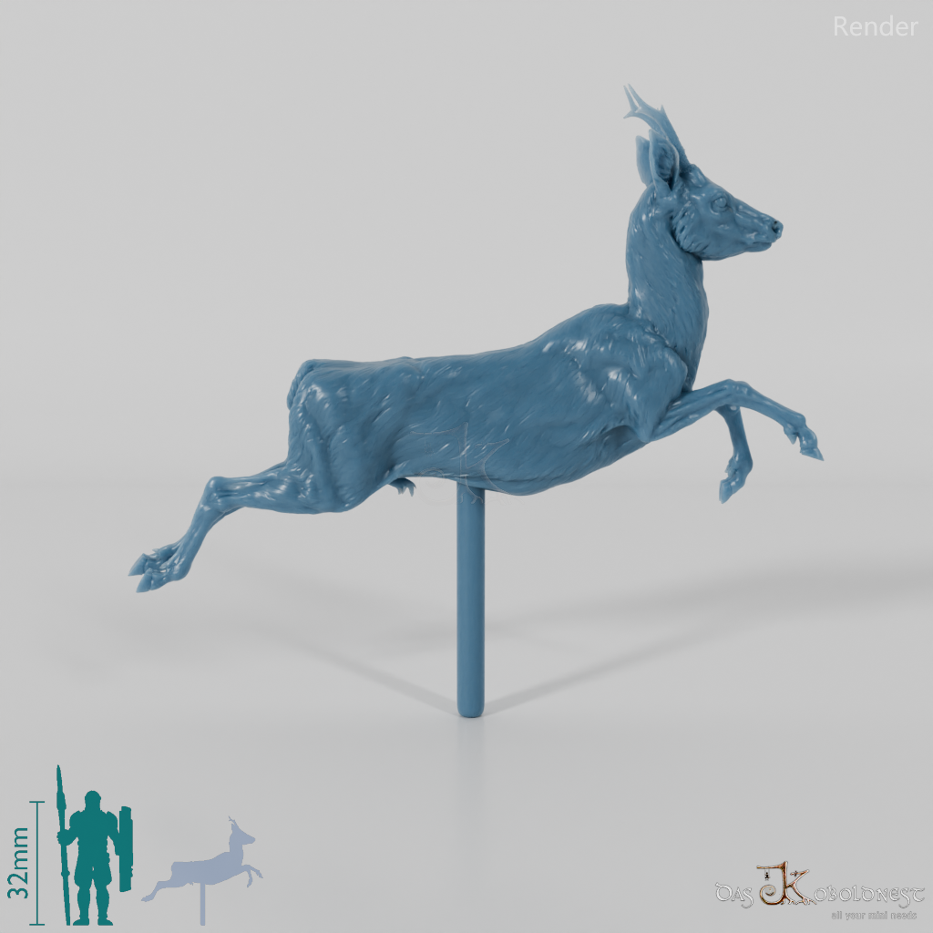 Deer - European Roe Deer - Buck 02