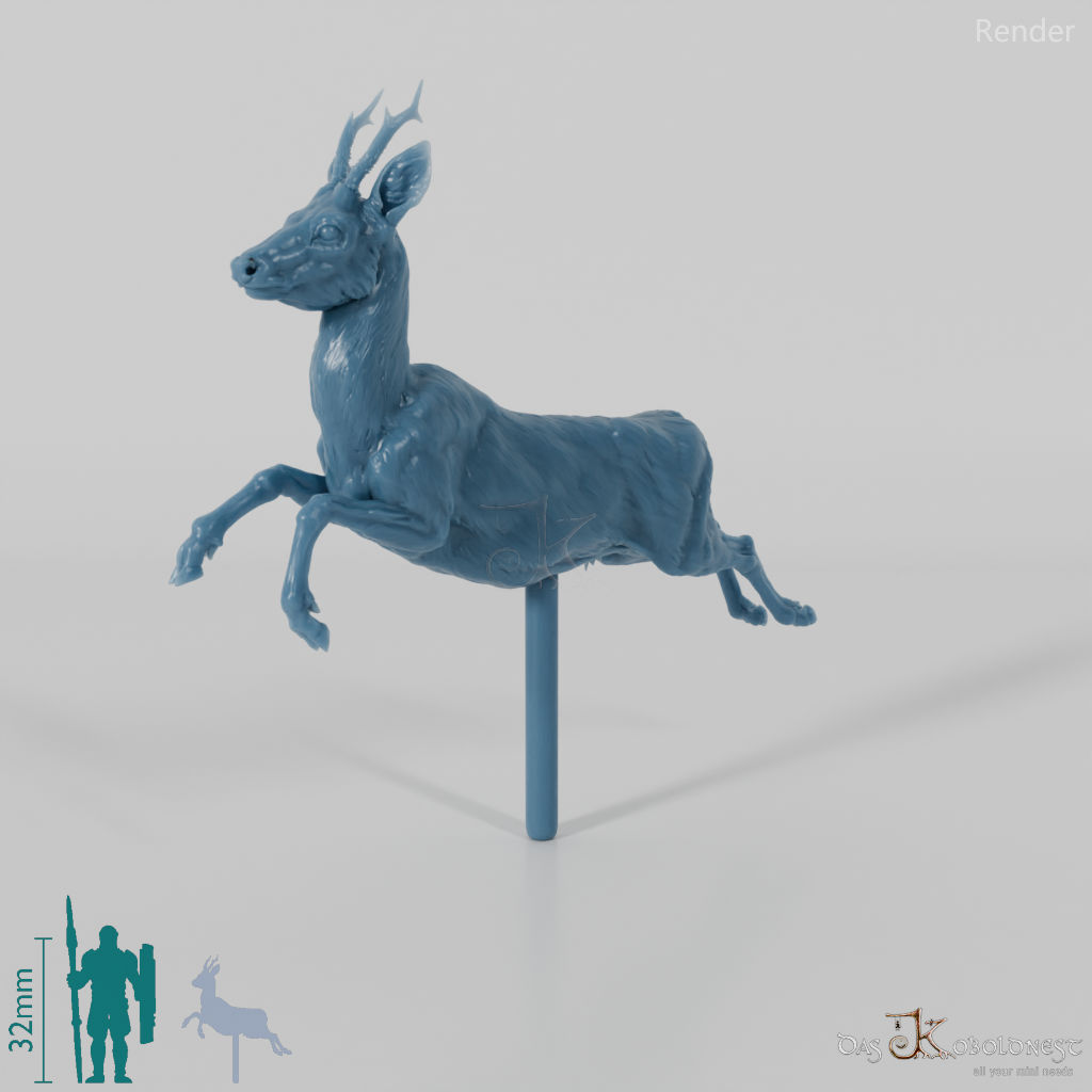 Deer - European Roe Deer - Buck 02