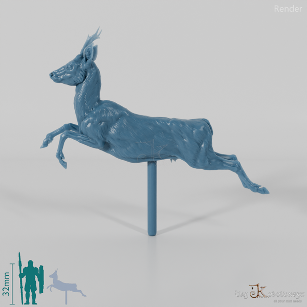 Deer - European Roe Deer - Buck 02