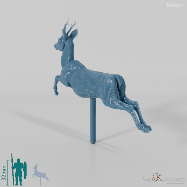 Deer - European Roe Deer - Buck 02