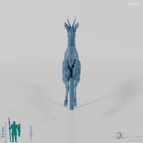 Deer - European Roe Deer - Buck 02