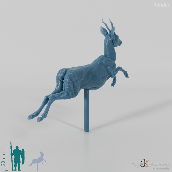 Deer - European Roe Deer - Buck 02