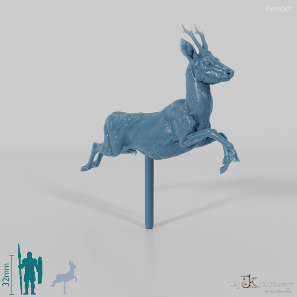 Deer - European Roe Deer - Buck 02