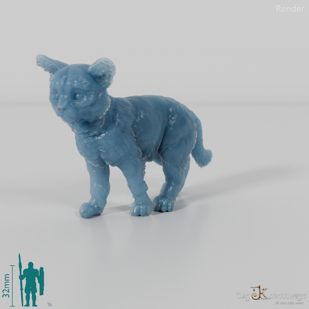 Katze - Europäische Wildkatze - Jungtier 01