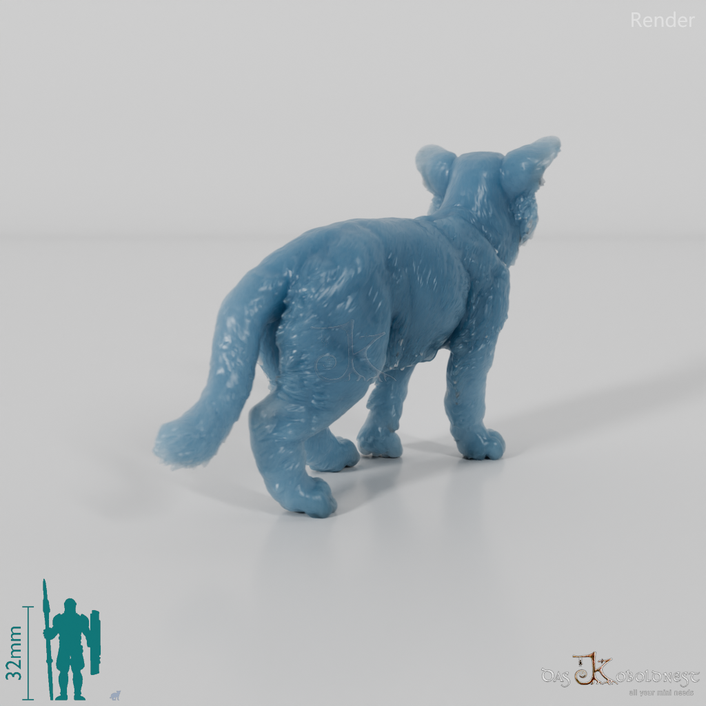 Katze - Europäische Wildkatze - Jungtier 01