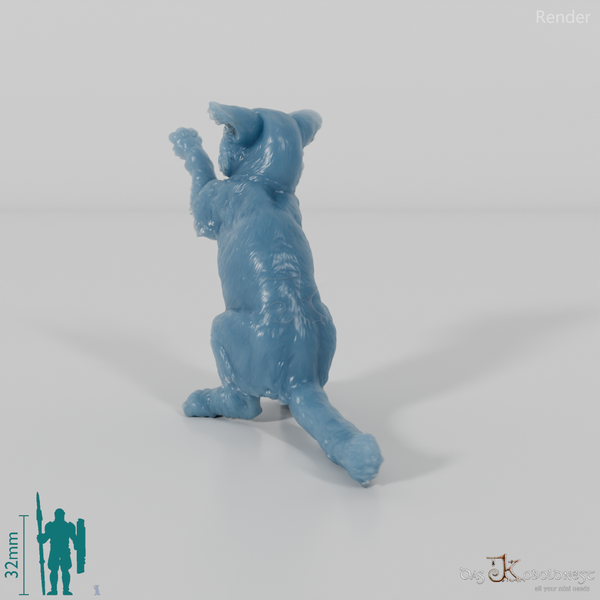 Katze - Europäische Wildkatze - Jungtier 02