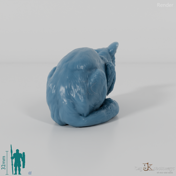 Cat - European Wildcat 02