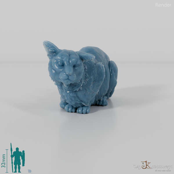 Cat - European Wildcat 02