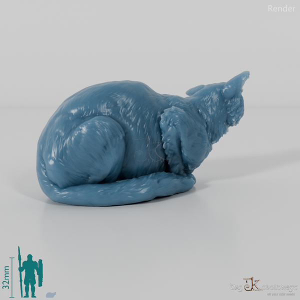 Cat - European Wildcat 02