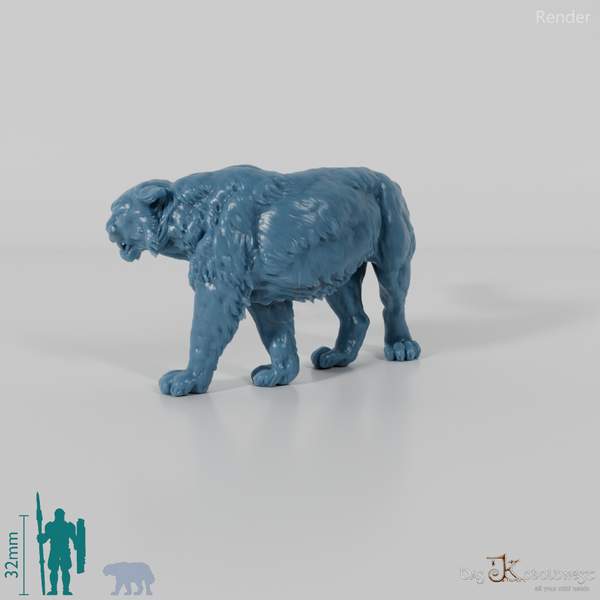 Big cat - snow leopard 01