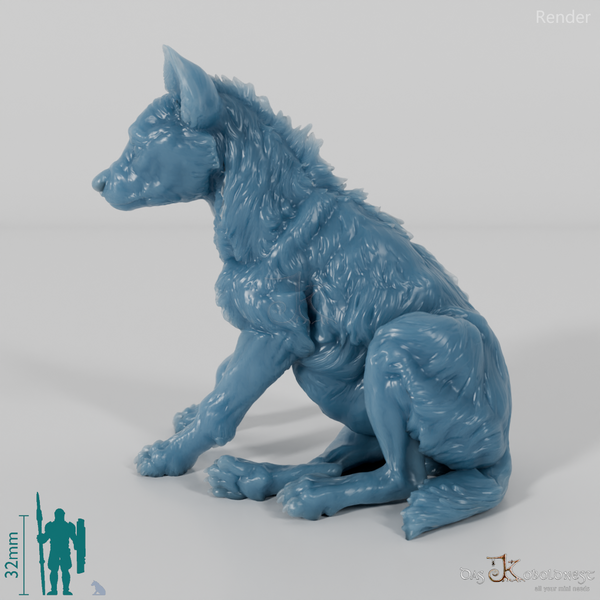 Hyena - Spotted Hyena Cub 01