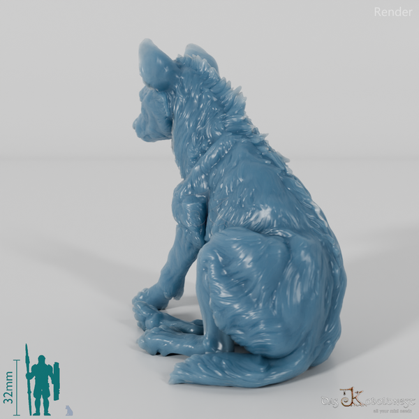 Hyena - Spotted Hyena Cub 01