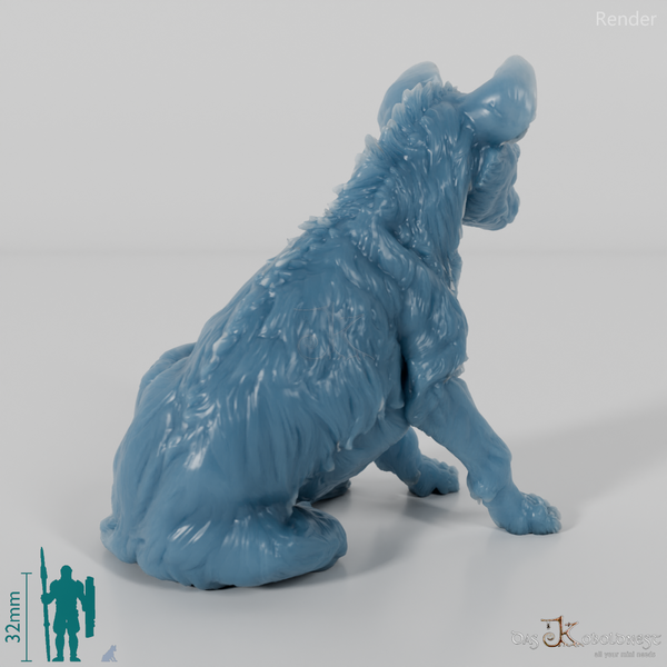 Hyena - Spotted Hyena Cub 01