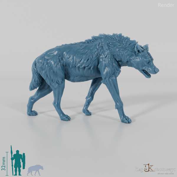 Hyäne - Tüpfelhyäne 03