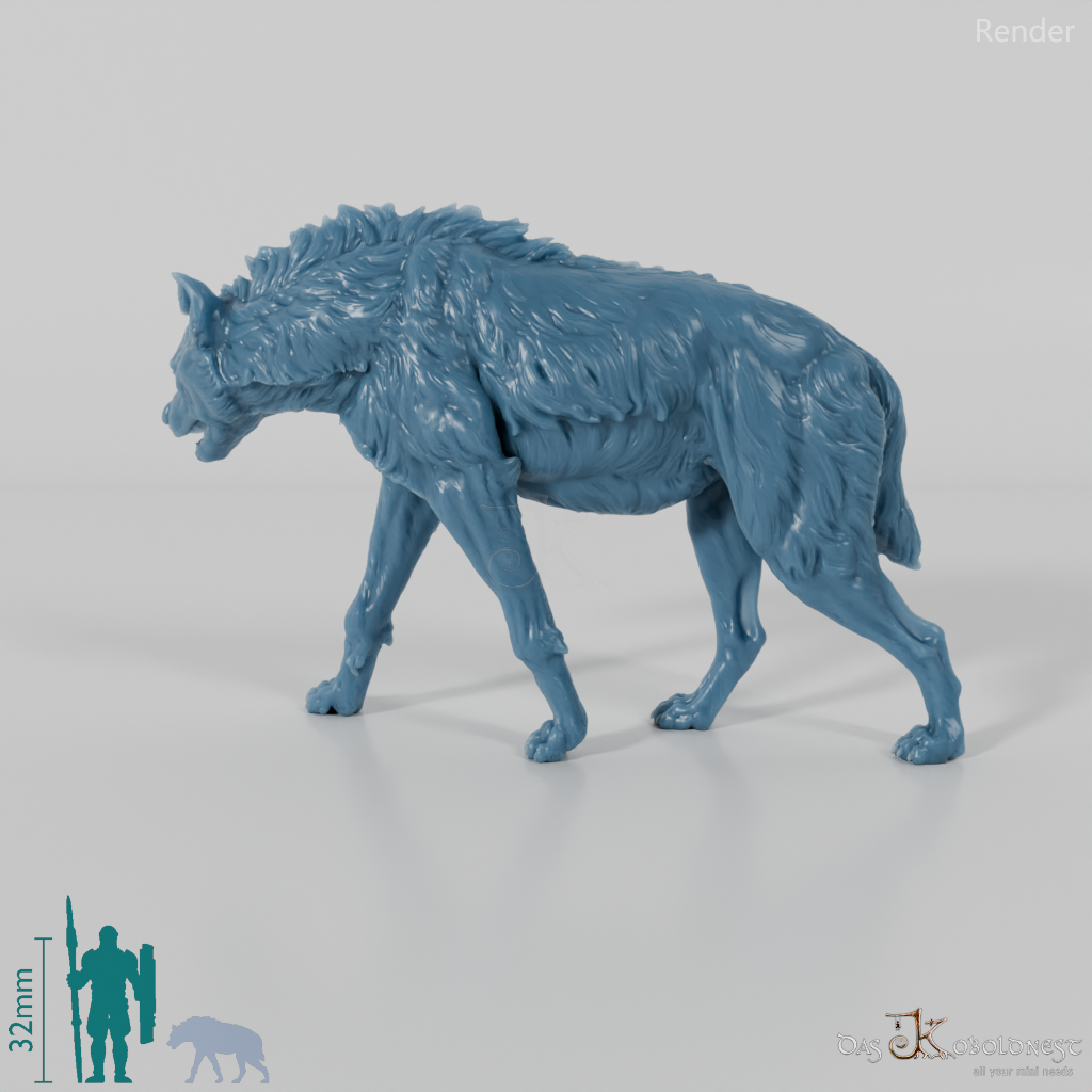 Hyena - Spotted Hyena 03