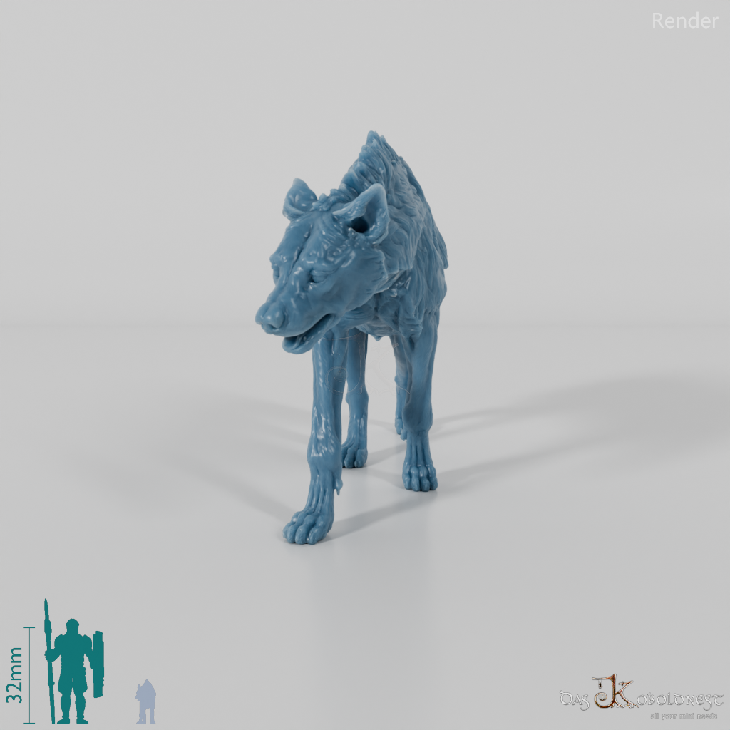 Hyena - Spotted Hyena 03
