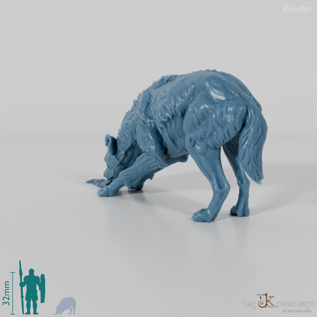 Hyena - Spotted Hyena 01