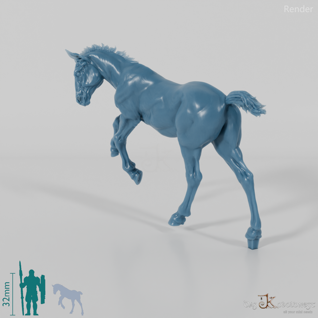 Horse - Suffolk Punch Foal 02