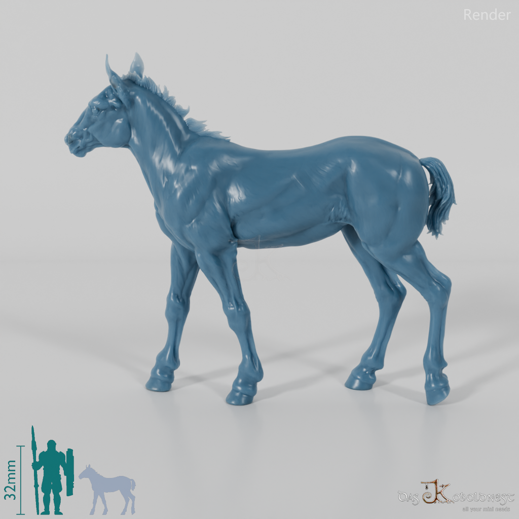 Horse - Suffolk Punch Foal 03