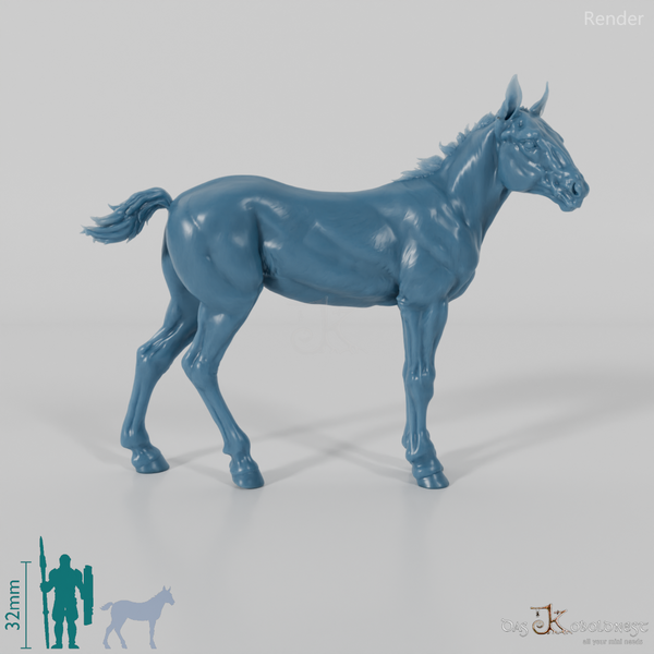 Pferd - Suffolk Punch Fohlen 04