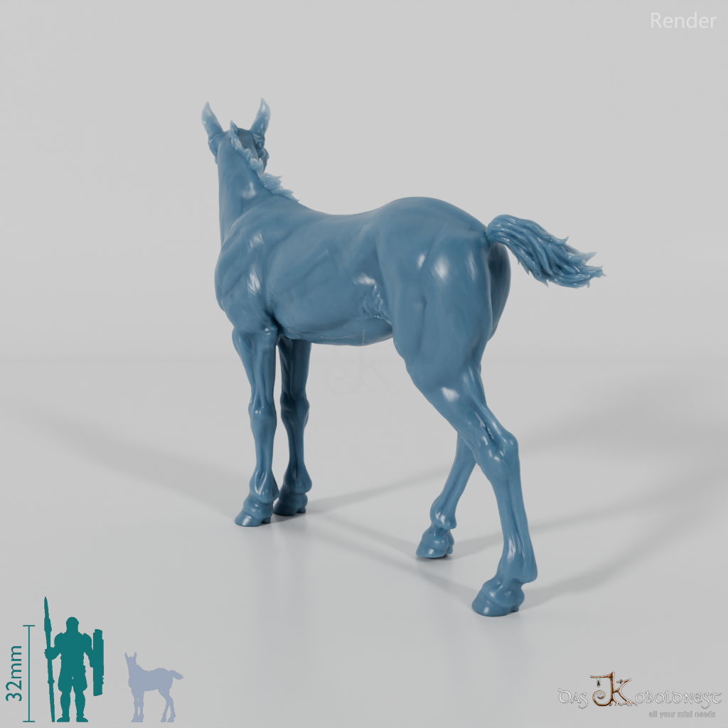 Horse - Suffolk Punch Foal 04