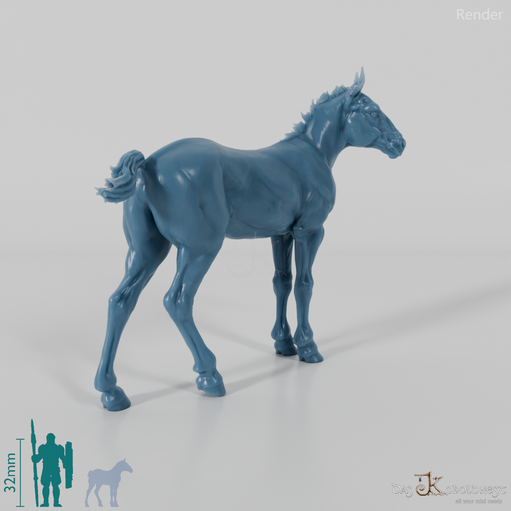 Horse - Suffolk Punch Foal 04