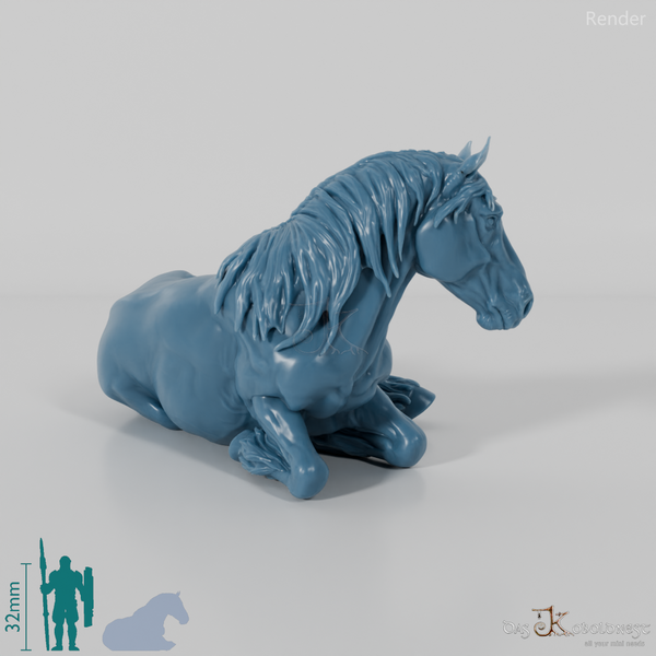 Horse - Suffolk Punch Mare 02