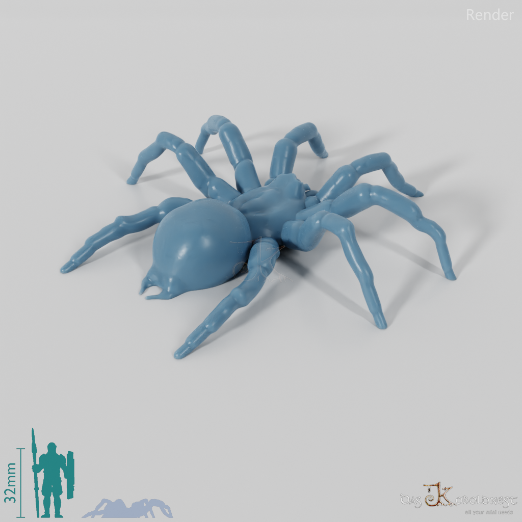 Spinne - Riesentarantel 01