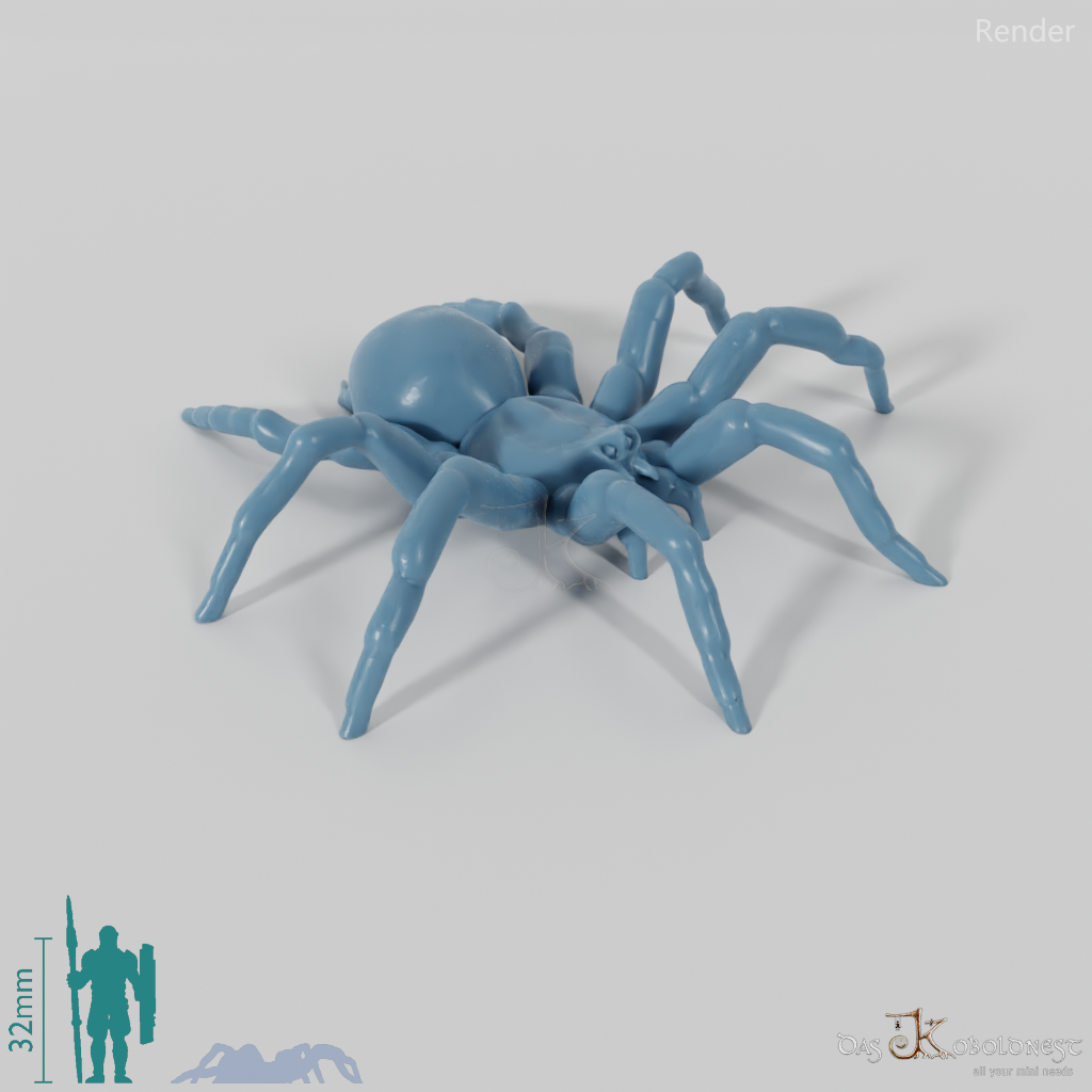 Spinne - Riesentarantel 01