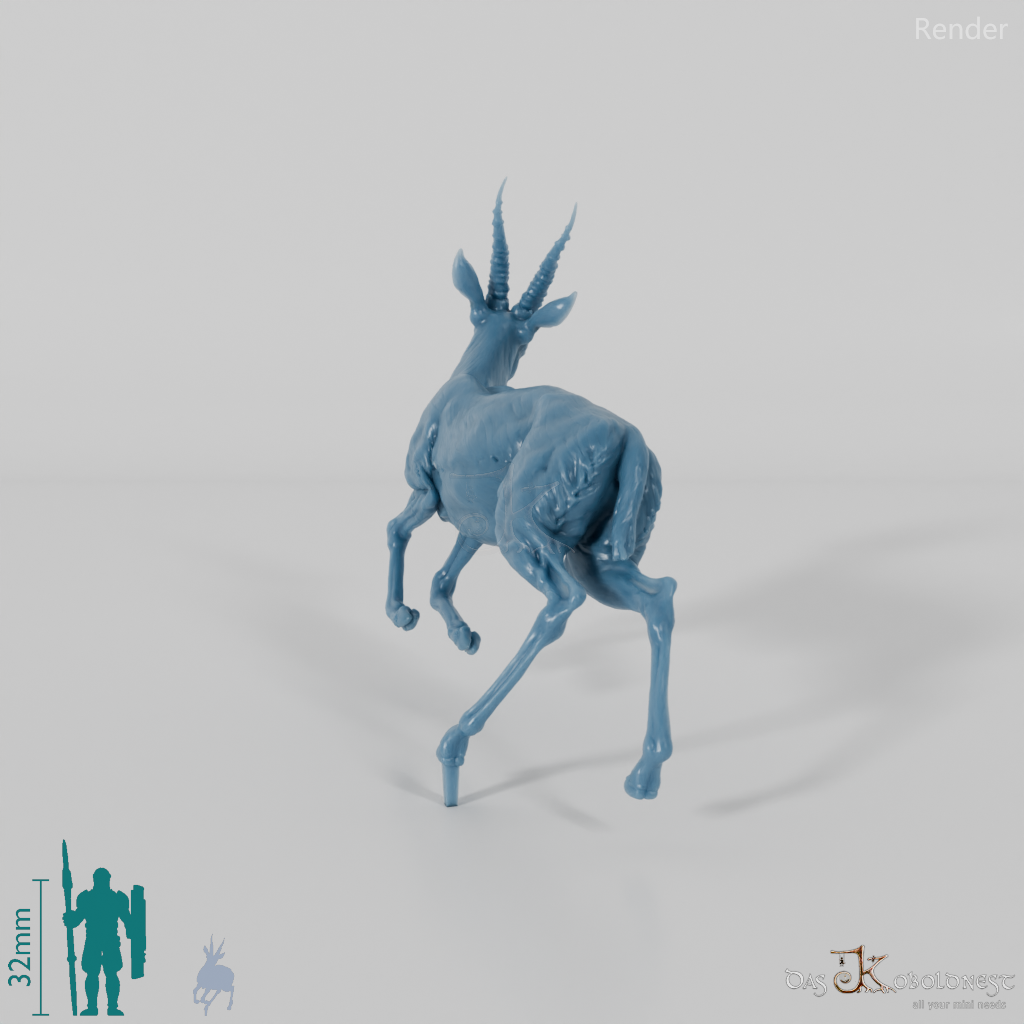 Antilope - Thomson-Gazelle 01