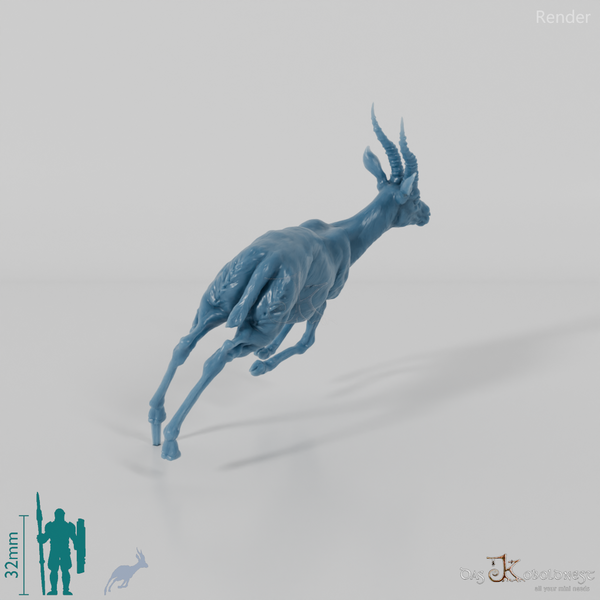 Antilope - Thomson-Gazelle 01