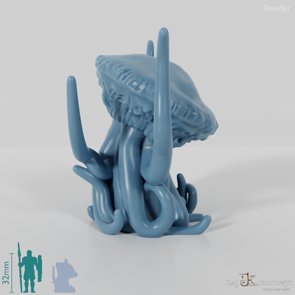 Jellyfish - Floating Giant Jellyfish 02