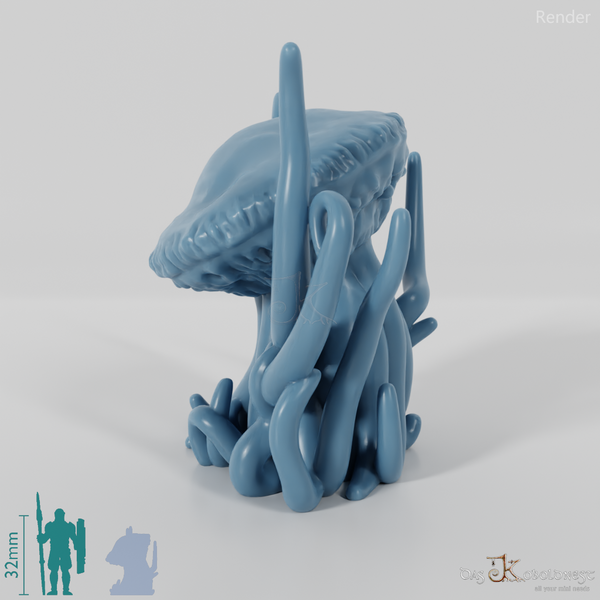 Jellyfish - Floating Giant Jellyfish 02