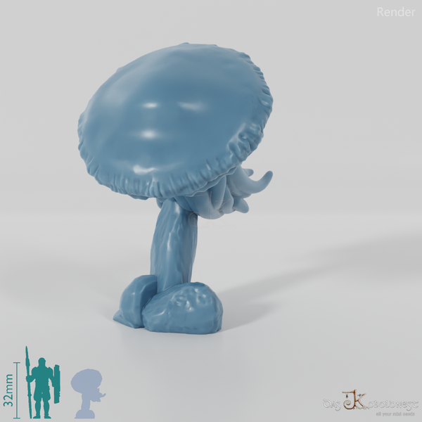Jellyfish - Floating Giant Jellyfish 03