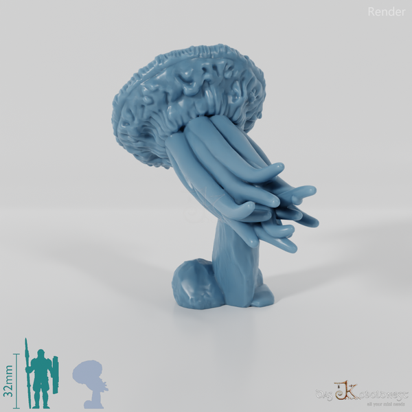 Jellyfish - Floating Giant Jellyfish 03