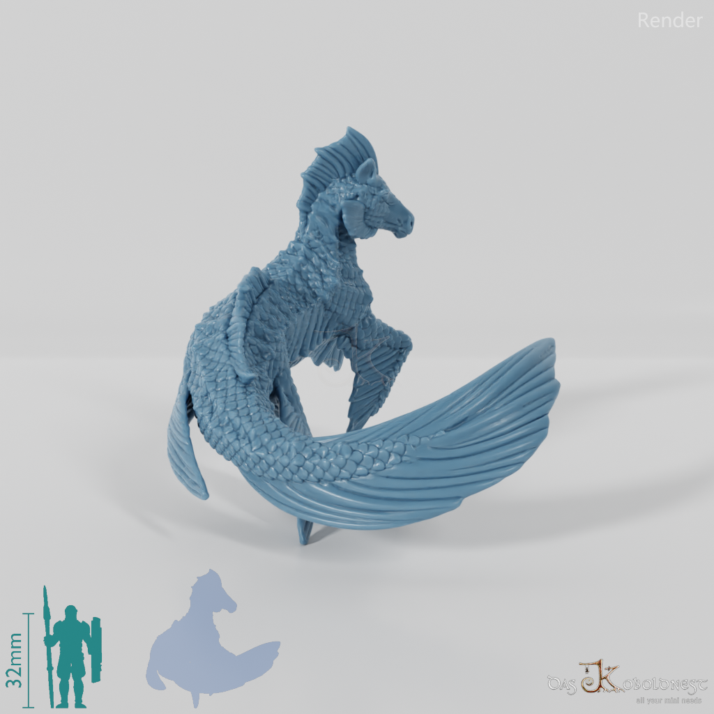 Hippocamp - hippocampus