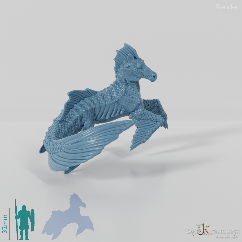 Hippocamp - hippocampus