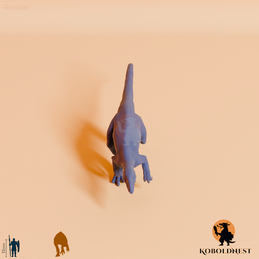 Aerosteron riocoloradensis 04 - JJP