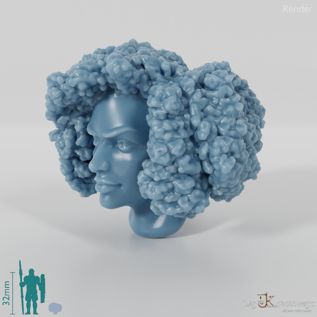 Woman's head - Afro