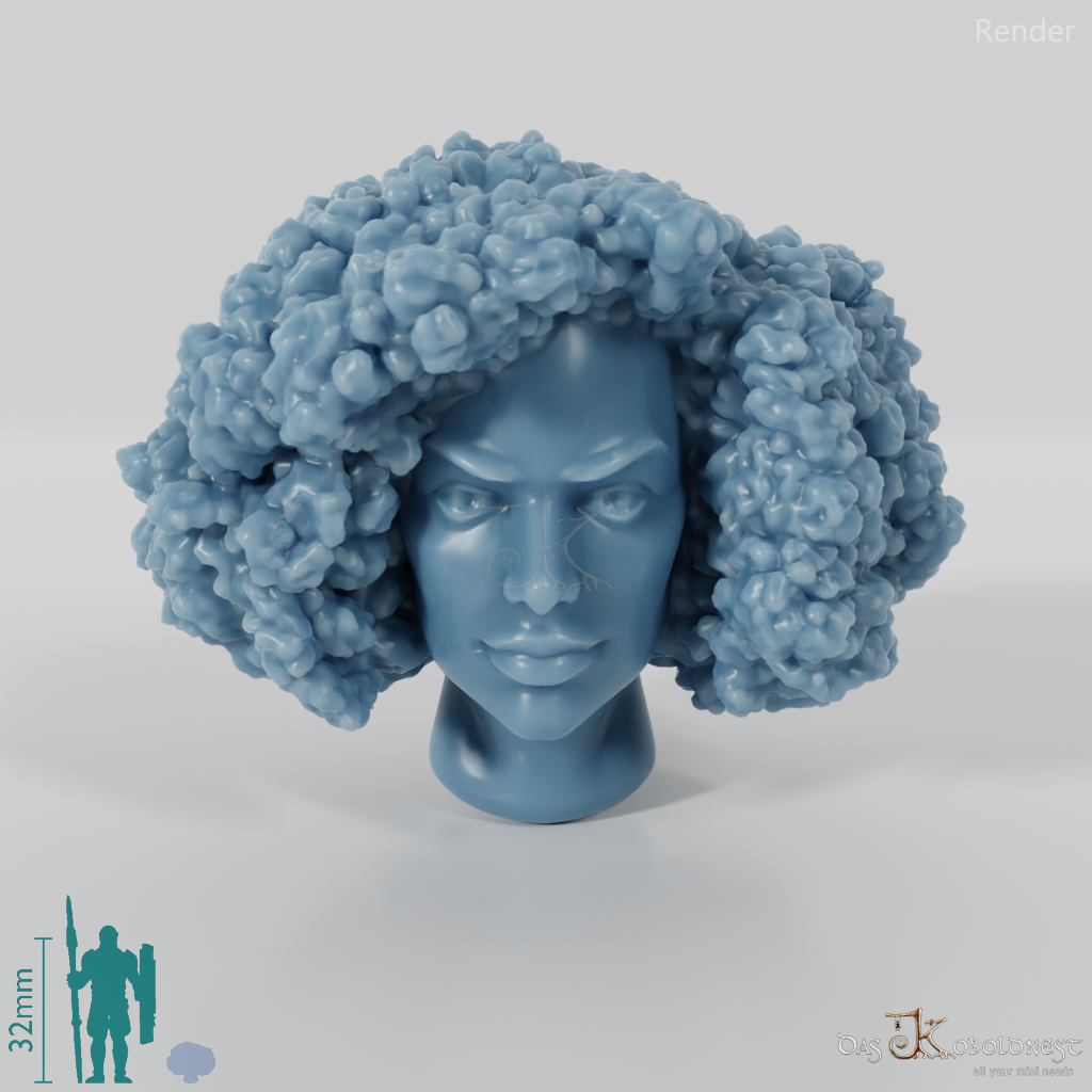 Woman's head - Afro