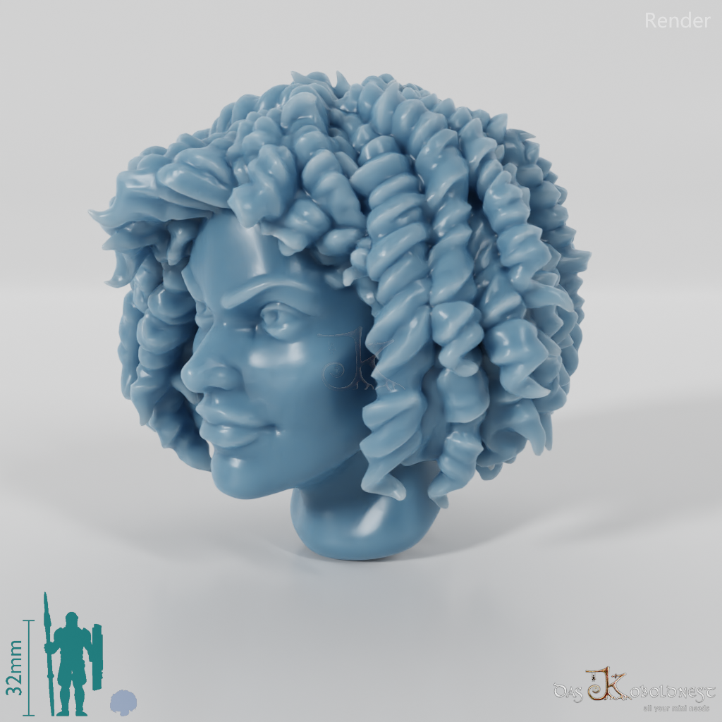 Woman's Head - Curly Afro