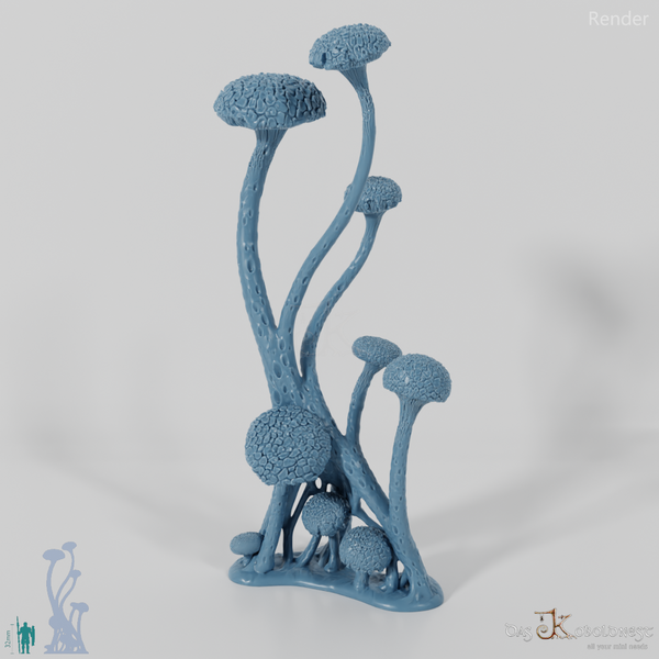 Die Pilzwälder - Hohe Riesenwulstlinge